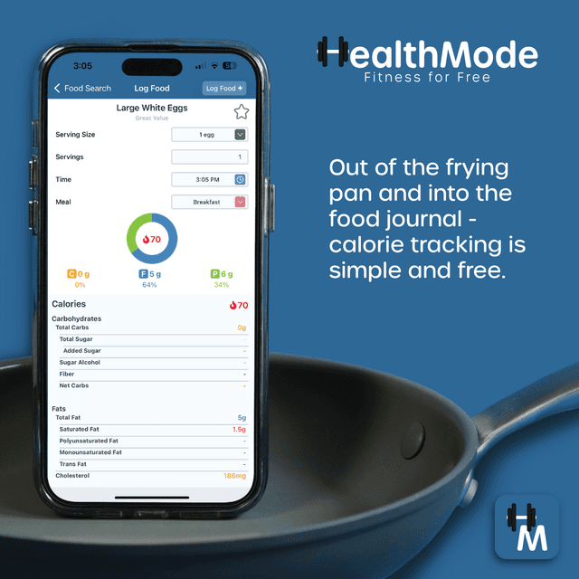 HealthMode Food Journal Image